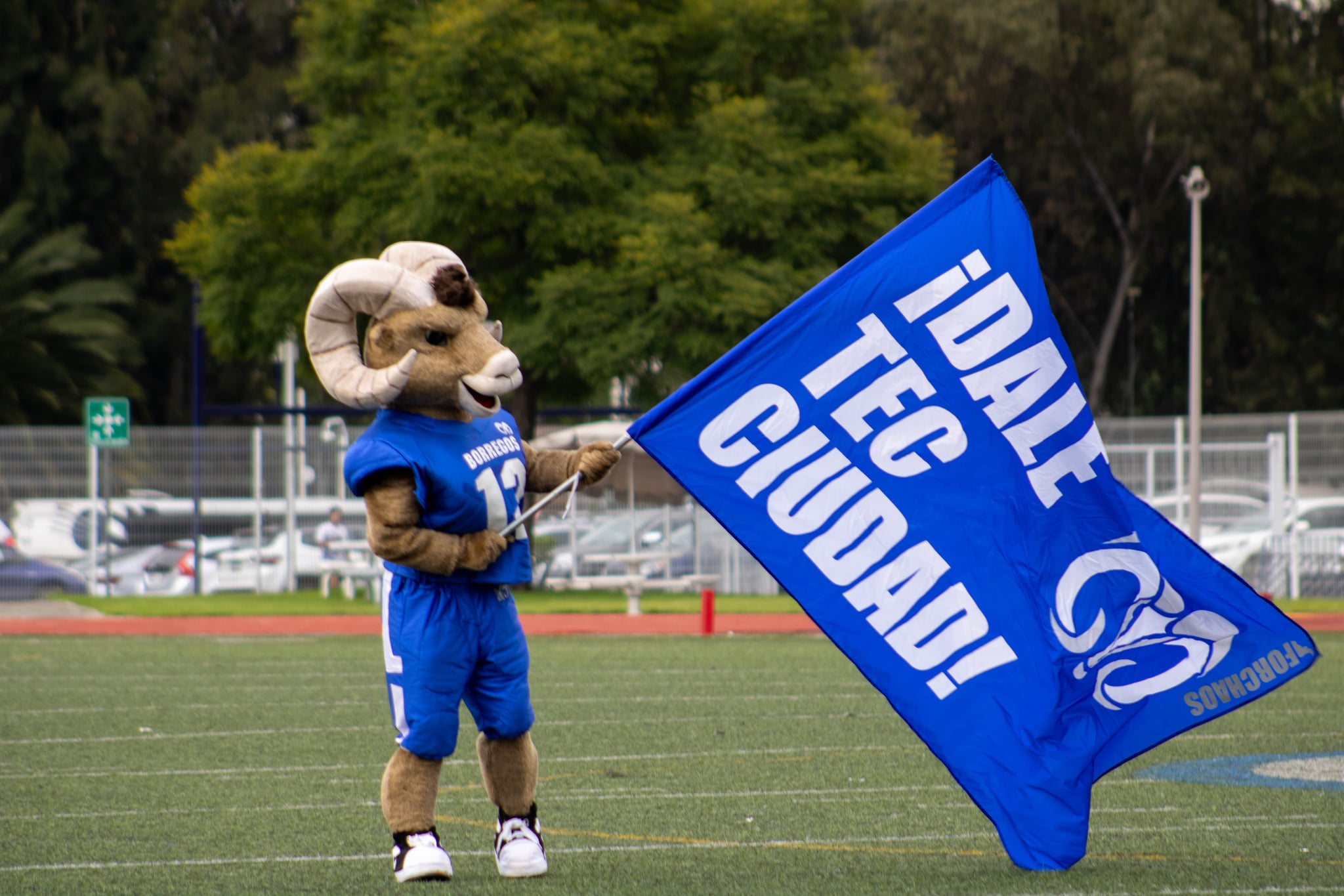 Teus Borregos Tec CCM