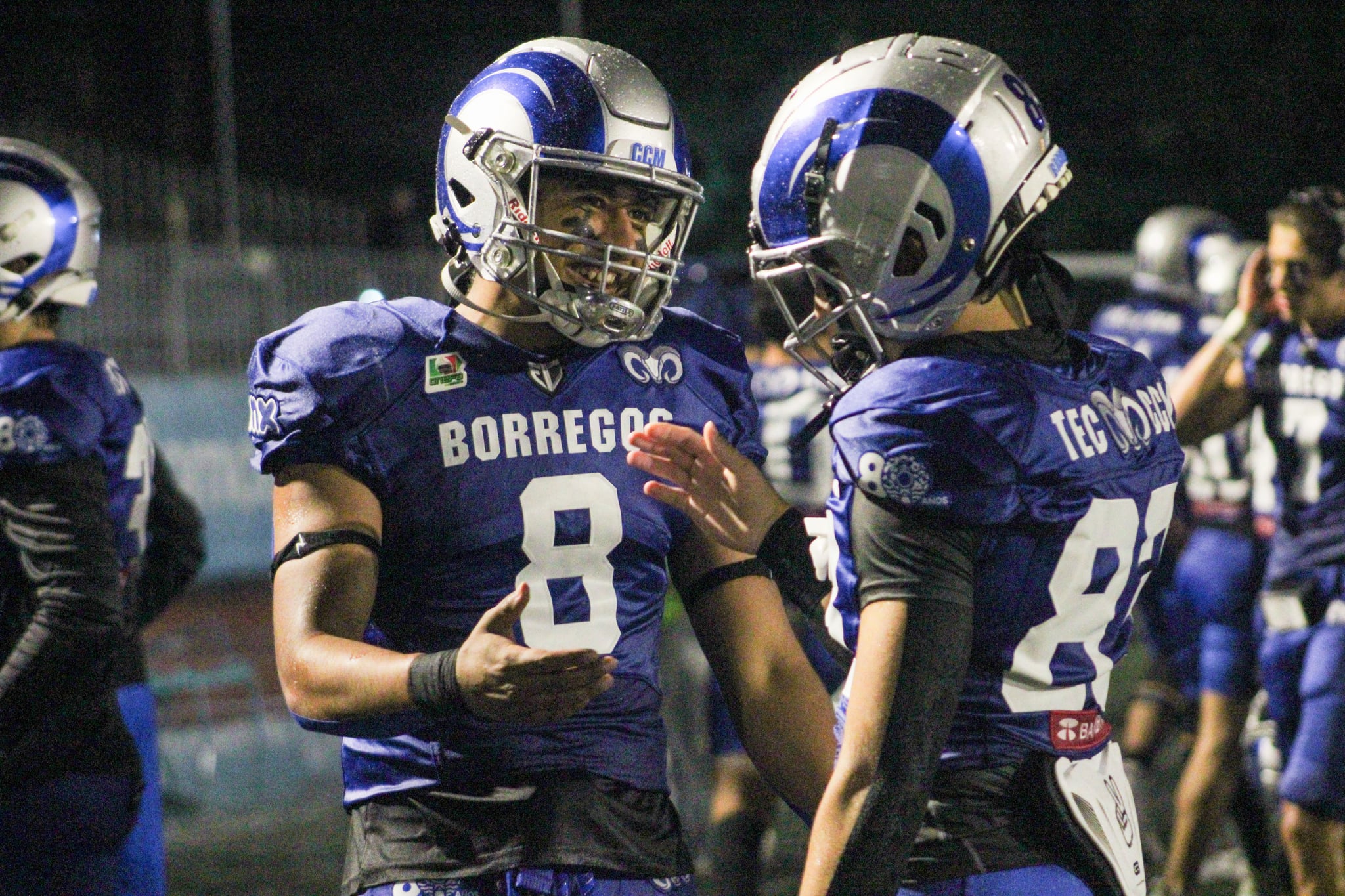 Borregos Tec CCM Americano